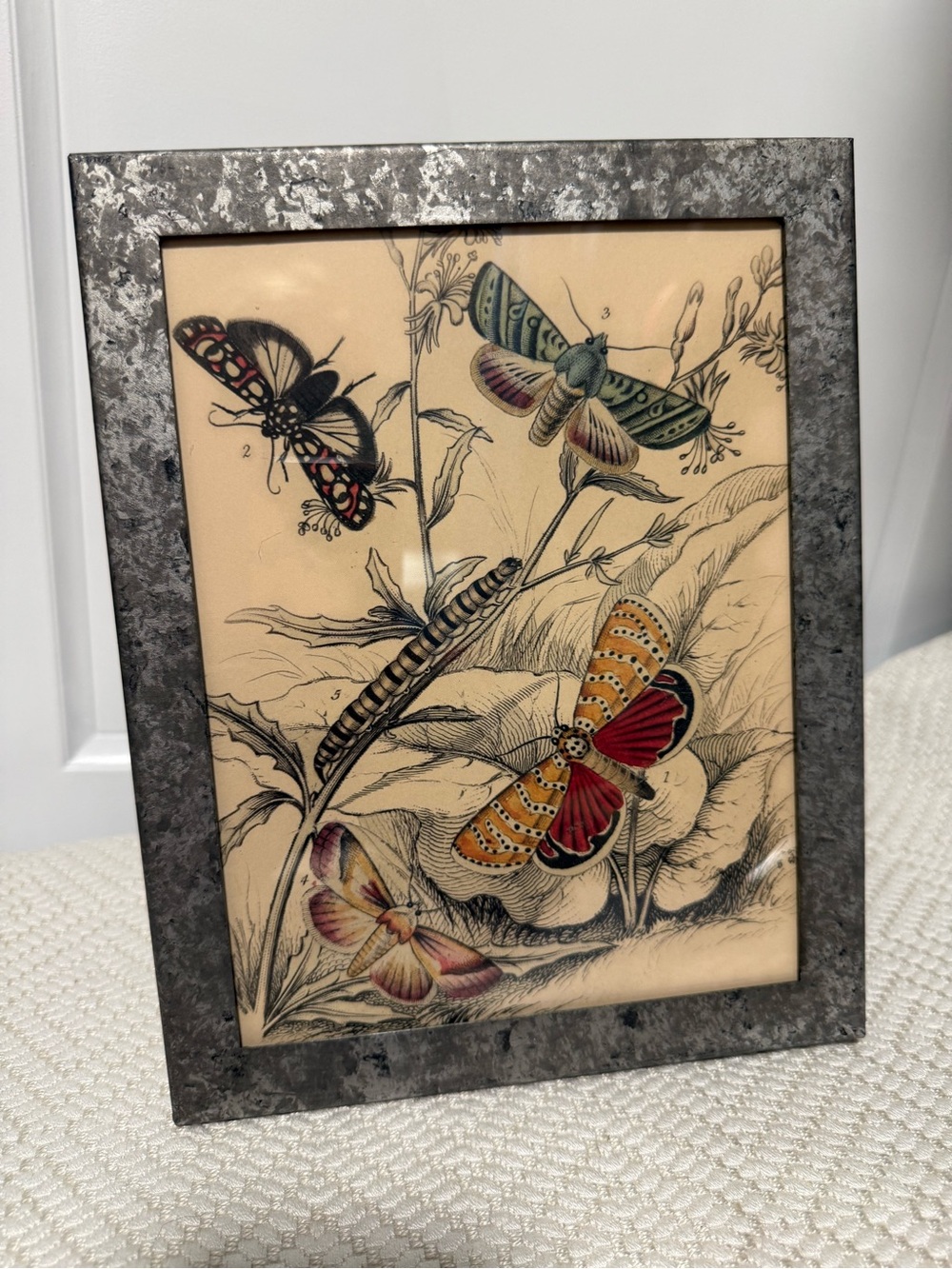 Galvanized 8 x 10 Picture Frame